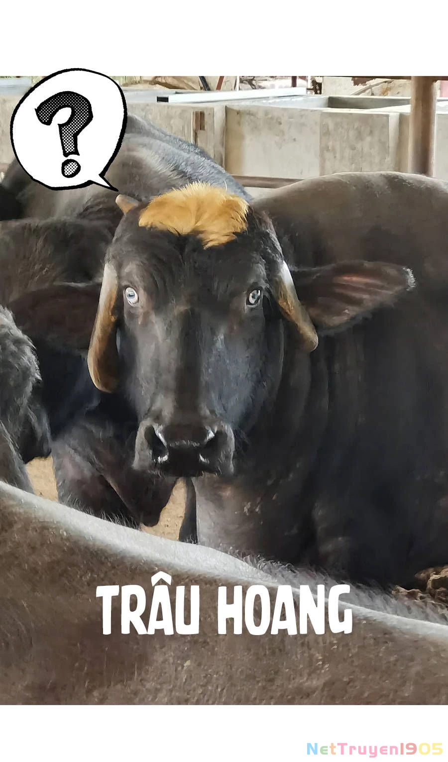 Đừng Nói Yêu Tôi Chapter 33.1 - 24