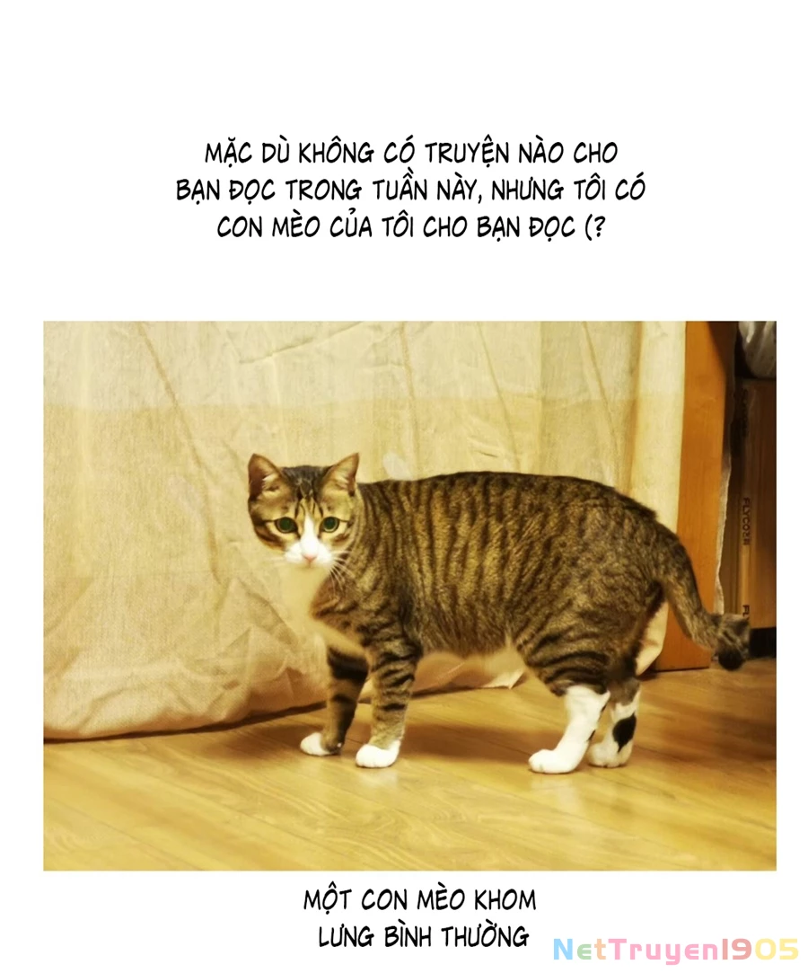 Đừng Nói Yêu Tôi Chapter 52.1 - 2