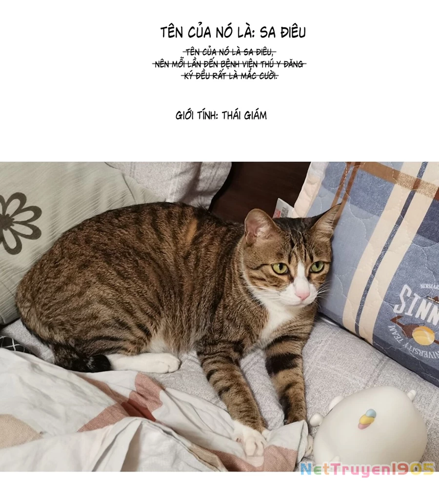 Đừng Nói Yêu Tôi Chapter 52.1 - 3