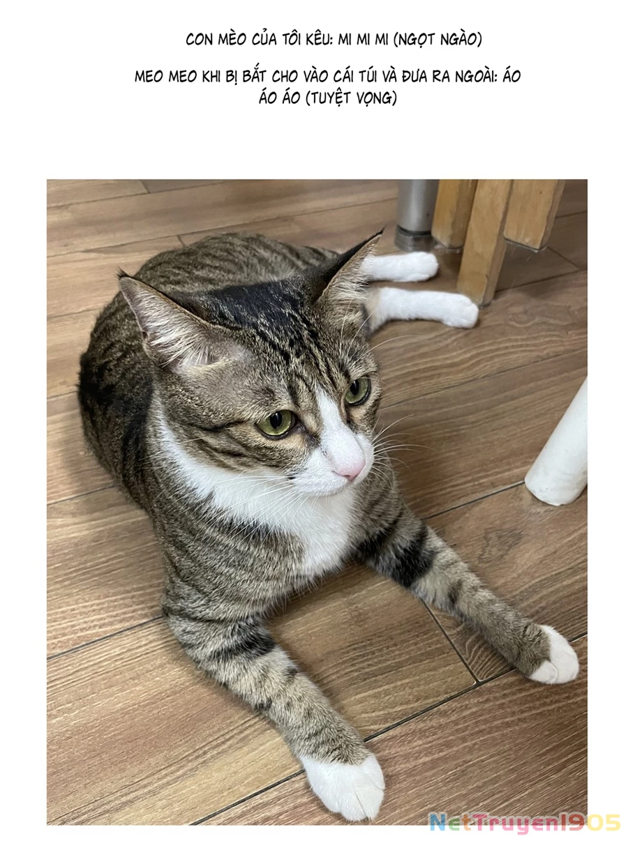 Đừng Nói Yêu Tôi Chapter 52.1 - 5