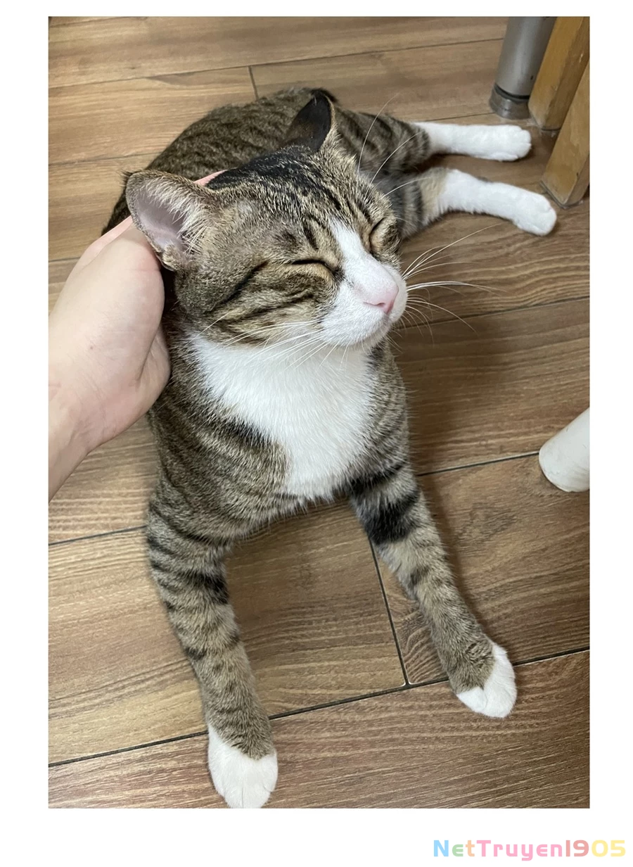 Đừng Nói Yêu Tôi Chapter 52.1 - 6