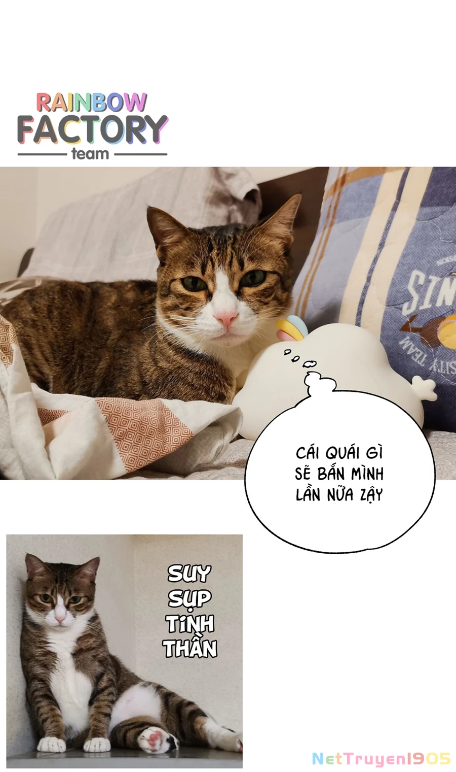 Đừng Nói Yêu Tôi Chapter 52.1 - 8