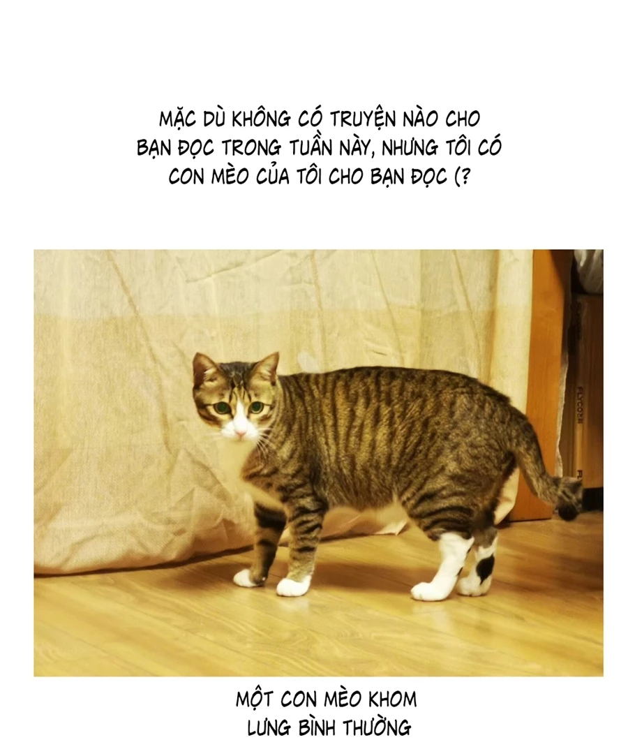 Đừng Nói Yêu Tôi Chapter 52.5 - 3