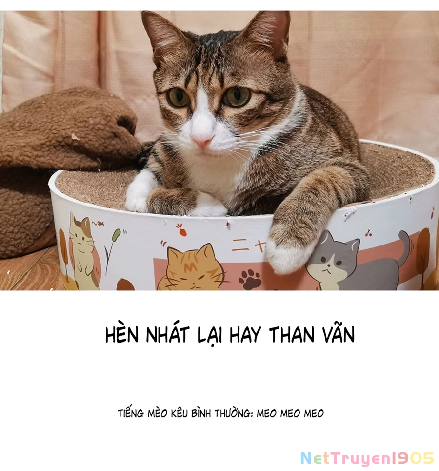 Đừng Nói Yêu Tôi Chapter 52.5 - 5