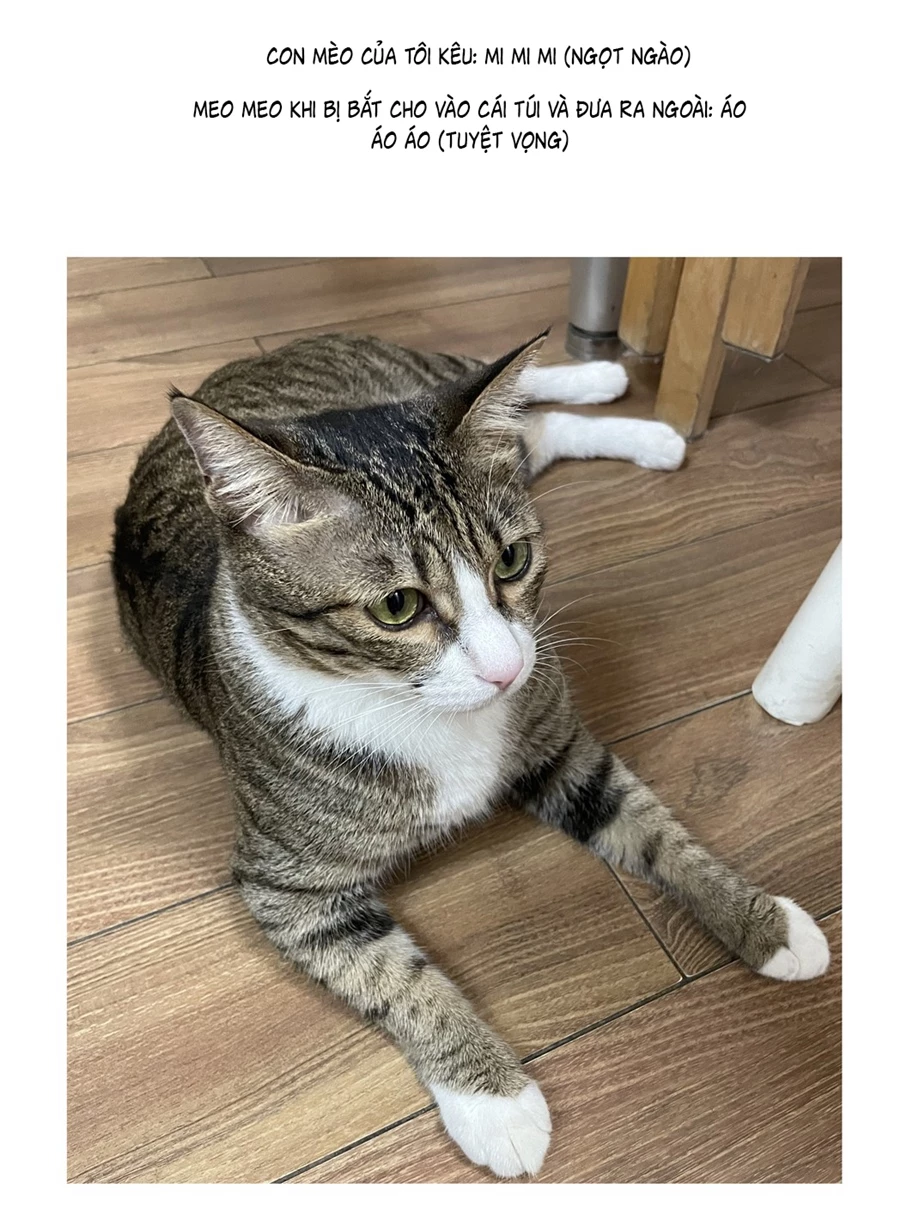 Đừng Nói Yêu Tôi Chapter 52.5 - 6