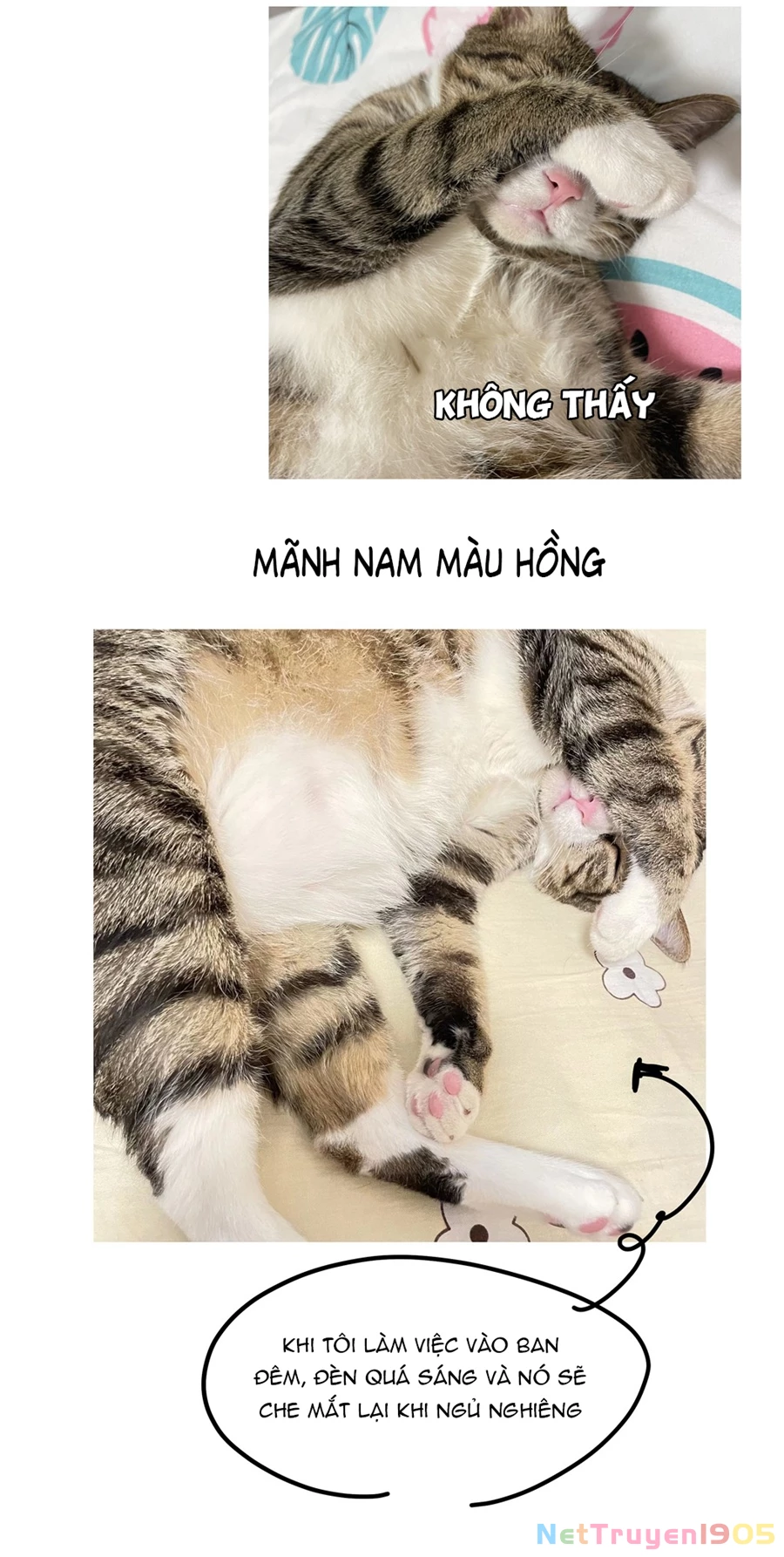 Đừng Nói Yêu Tôi Chapter 52.5 - 10