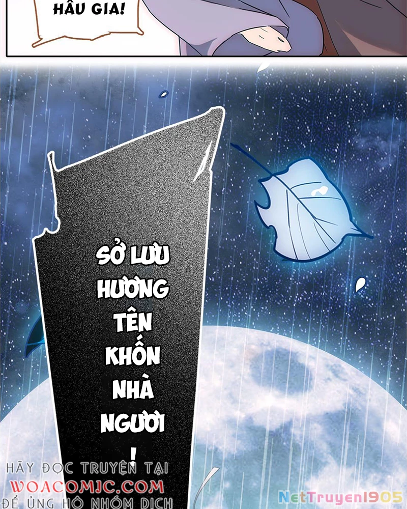 Sở Lưu Hương Truyền Kỳ Chapter 1 - 17