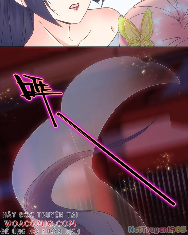 Sở Lưu Hương Truyền Kỳ Chapter 5 - 5