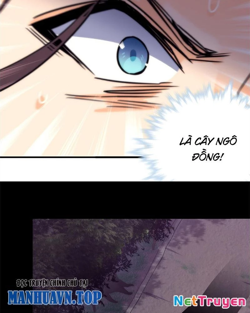Sở Lưu Hương Truyền Kỳ Chapter 33 - 11