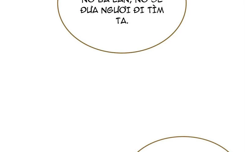 Sở Lưu Hương Truyền Kỳ Chapter 50 - 47