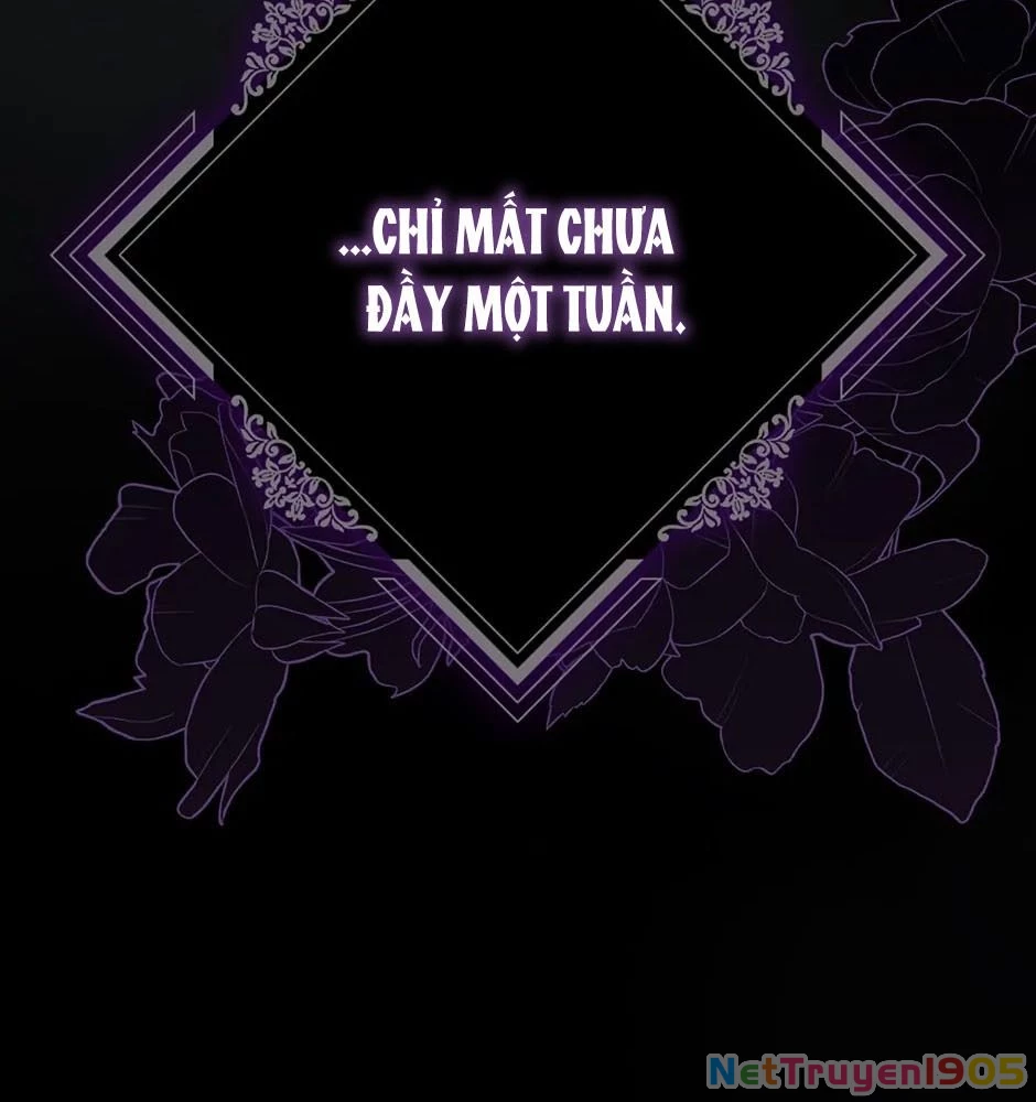 Lọ Lem Đã Mất Tích Chapter 2 - 178