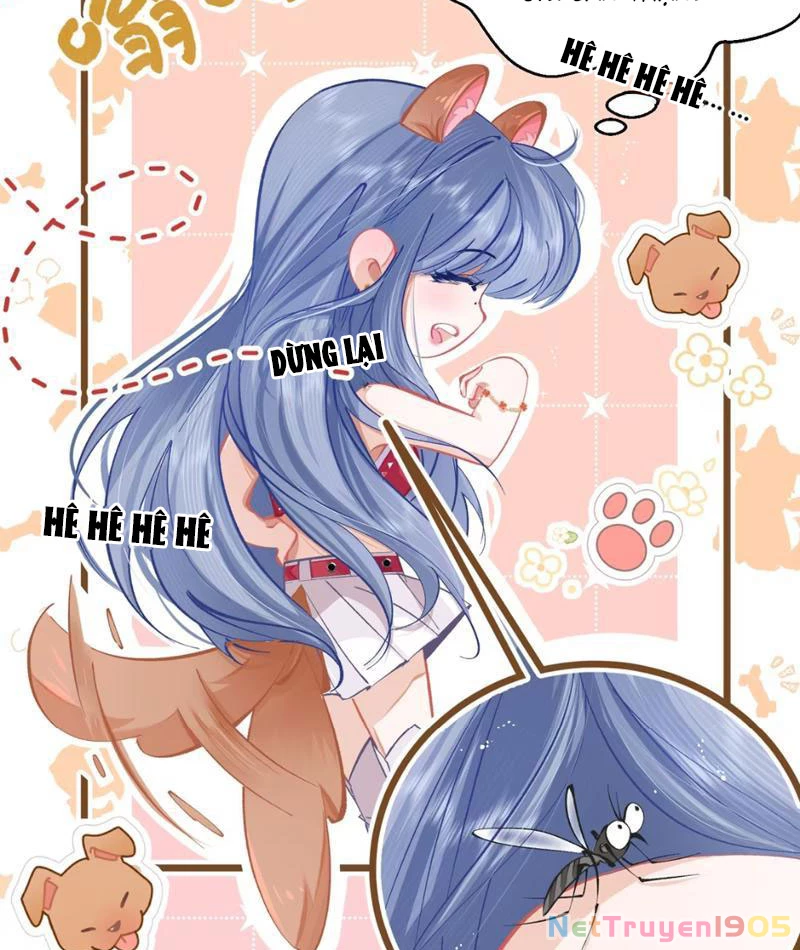 Sau Khi Xuyên Không Thành Thiên Kim Giả, Ta Lấy Lòng Thiên Kim Thật Sống Qua Ngày Chapter 1 - 39