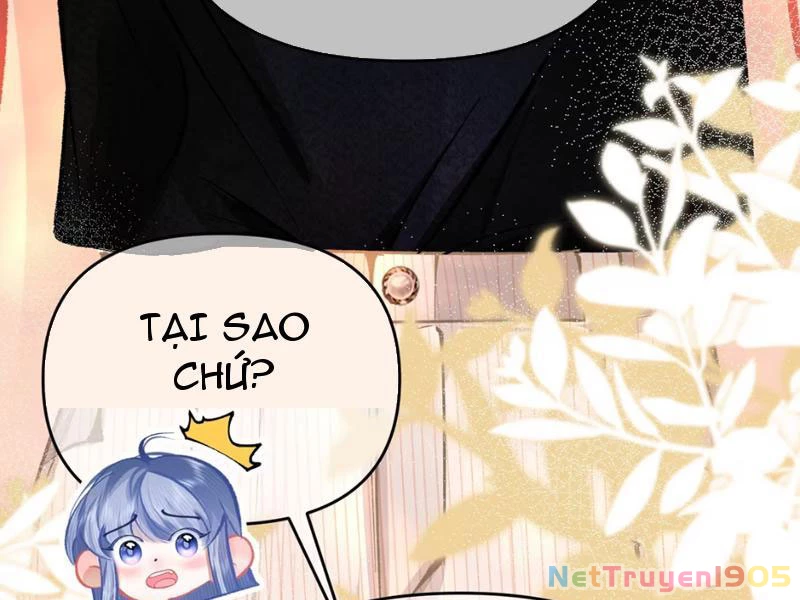 Sau Khi Xuyên Không Thành Thiên Kim Giả, Ta Lấy Lòng Thiên Kim Thật Sống Qua Ngày Chapter 3 - 119