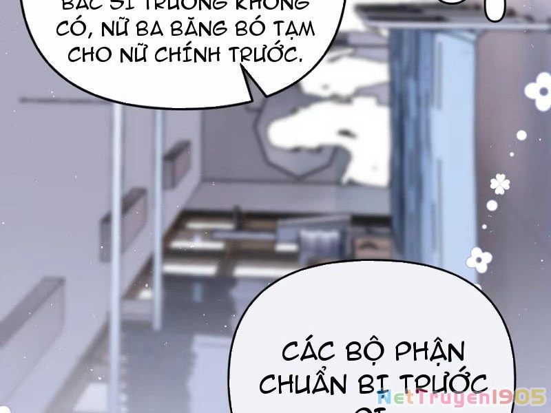 Sau Khi Xuyên Không Thành Thiên Kim Giả, Ta Lấy Lòng Thiên Kim Thật Sống Qua Ngày Chapter 4 - 3
