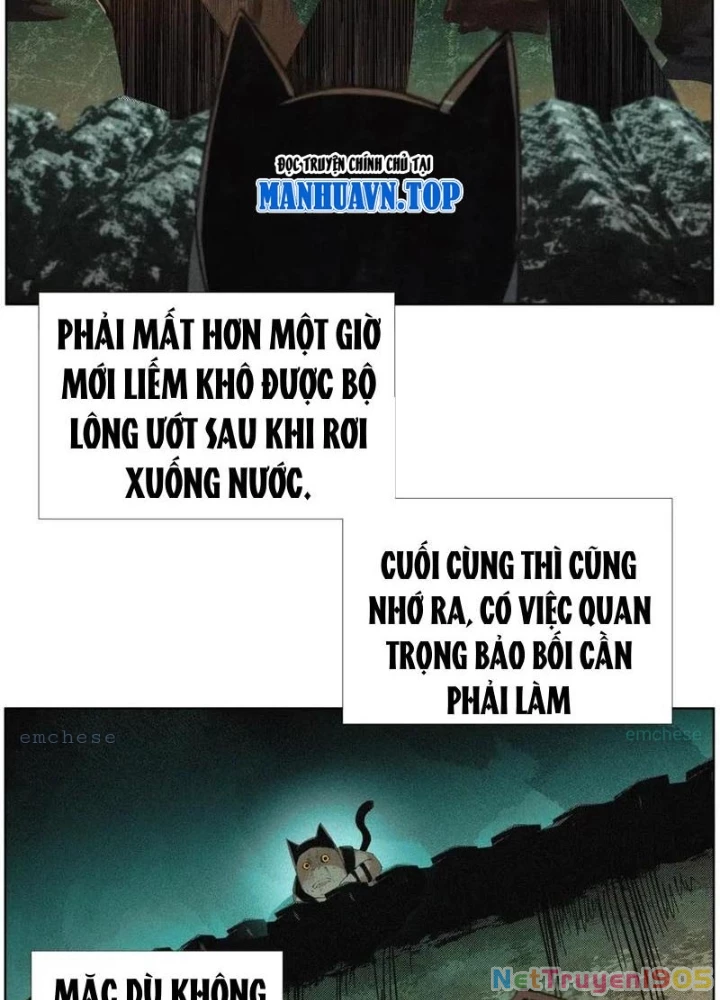 Tiên Hàng Đầu Chapter 63 - 5