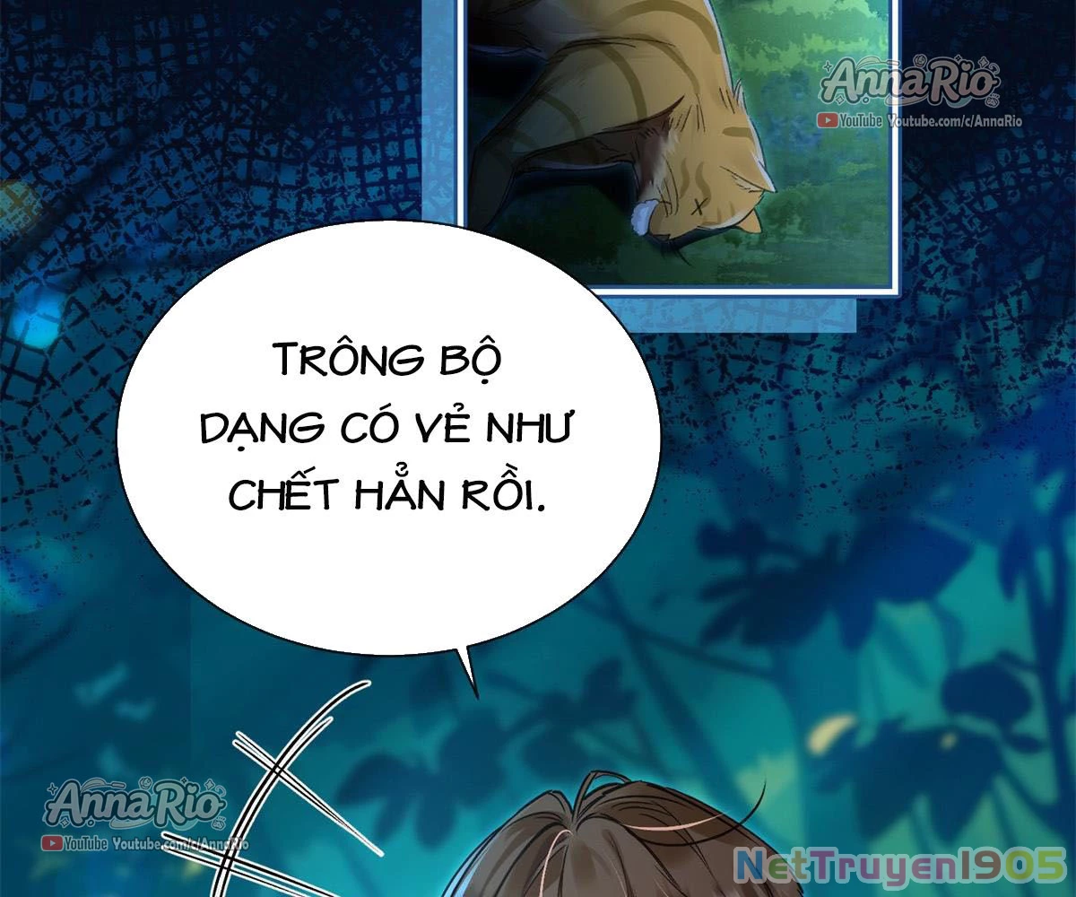 THÚ THẾ CHỦNG ĐIỀN: THÚ CON PHẢN DIỆN SIÊU BÁM NGƯỜI Chapter 5 - 15