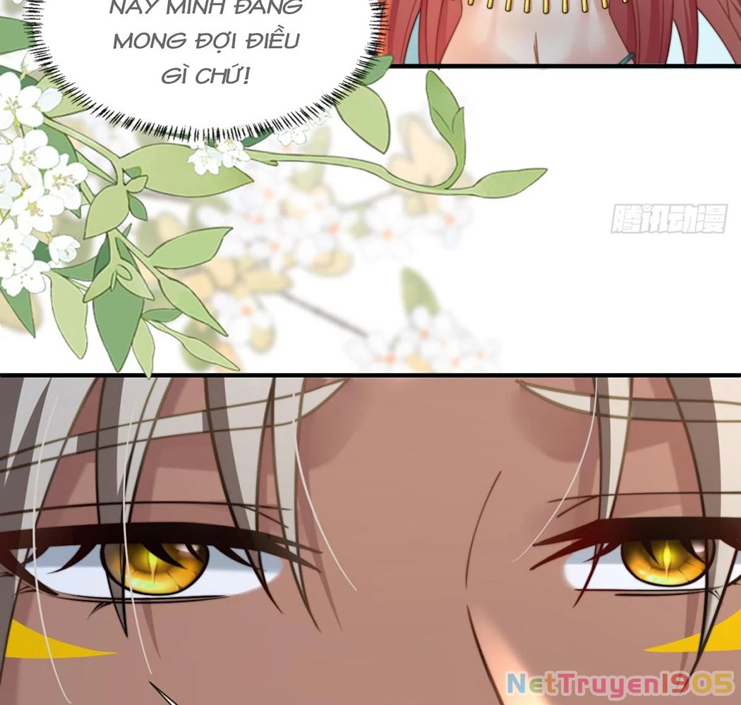 Thú Thế Nữ Vương Hôm Nay Lật Thẻ Rồi Sao ??? Chapter 41 - 11
