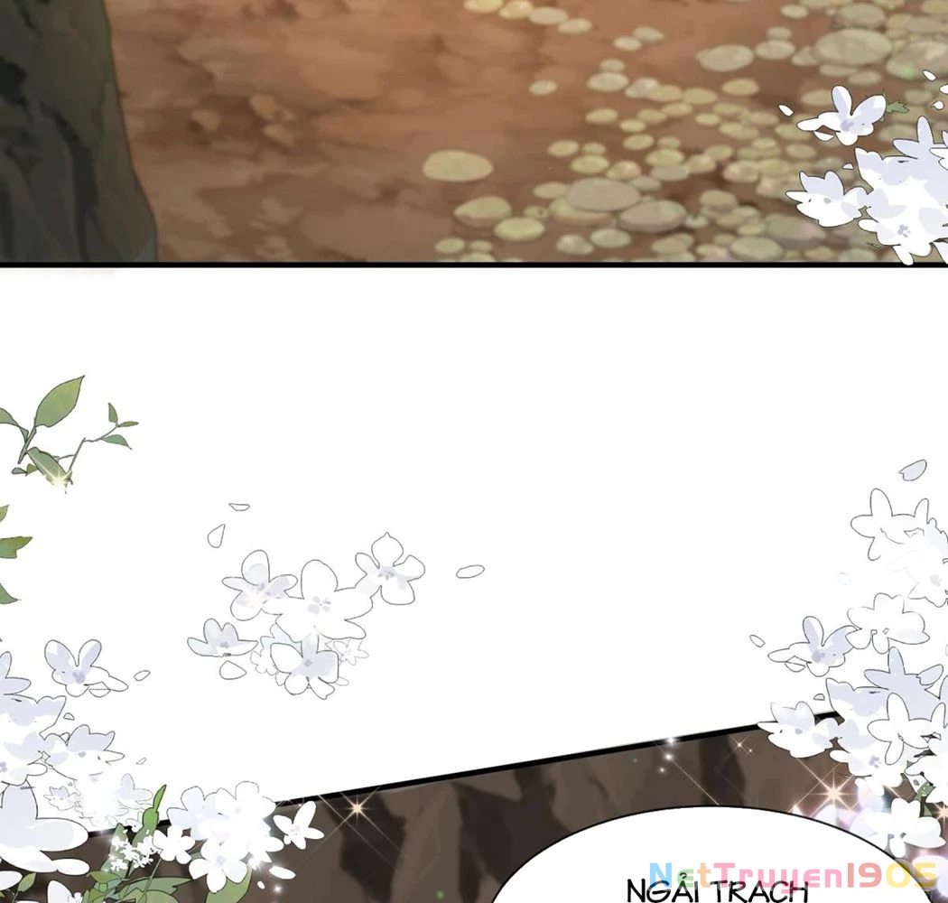 Thú Thế Nữ Vương Hôm Nay Lật Thẻ Rồi Sao ??? Chapter 48 - 72