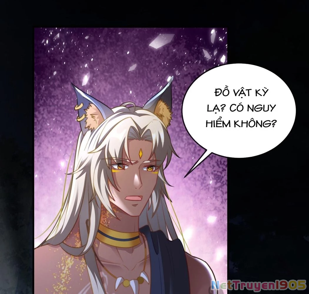 Thú Thế Nữ Vương Hôm Nay Lật Thẻ Rồi Sao ??? Chapter 61 - 71