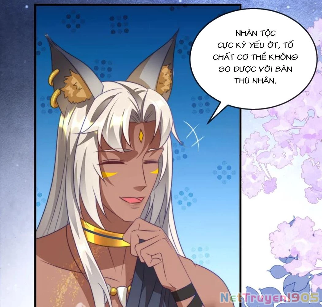 Thú Thế Nữ Vương Hôm Nay Lật Thẻ Rồi Sao ??? Chapter 62 - 67