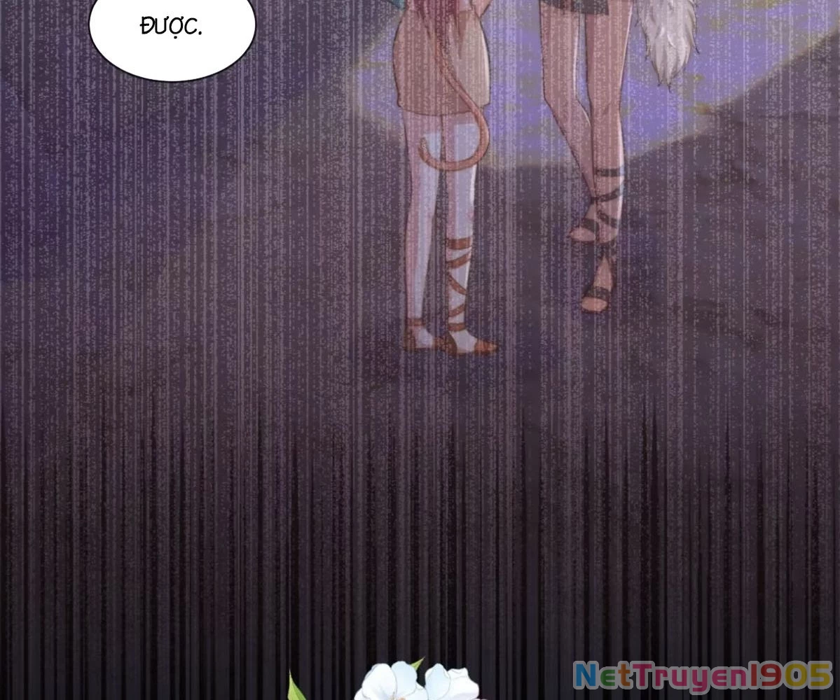 Thú Thế Nữ Vương Hôm Nay Lật Thẻ Rồi Sao ??? Chapter 74 - 62