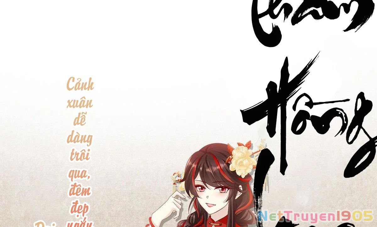 Thê Chủ, Thỉnh Hưởng Dụng Chapter 0 - 12