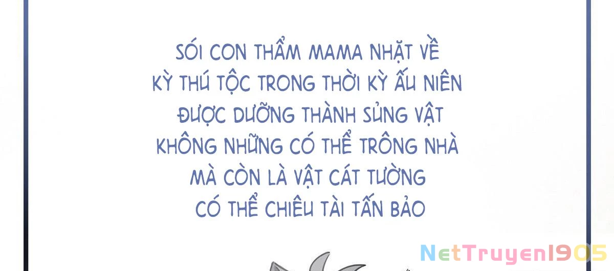 Thê Chủ, Thỉnh Hưởng Dụng Chapter 0 - 44