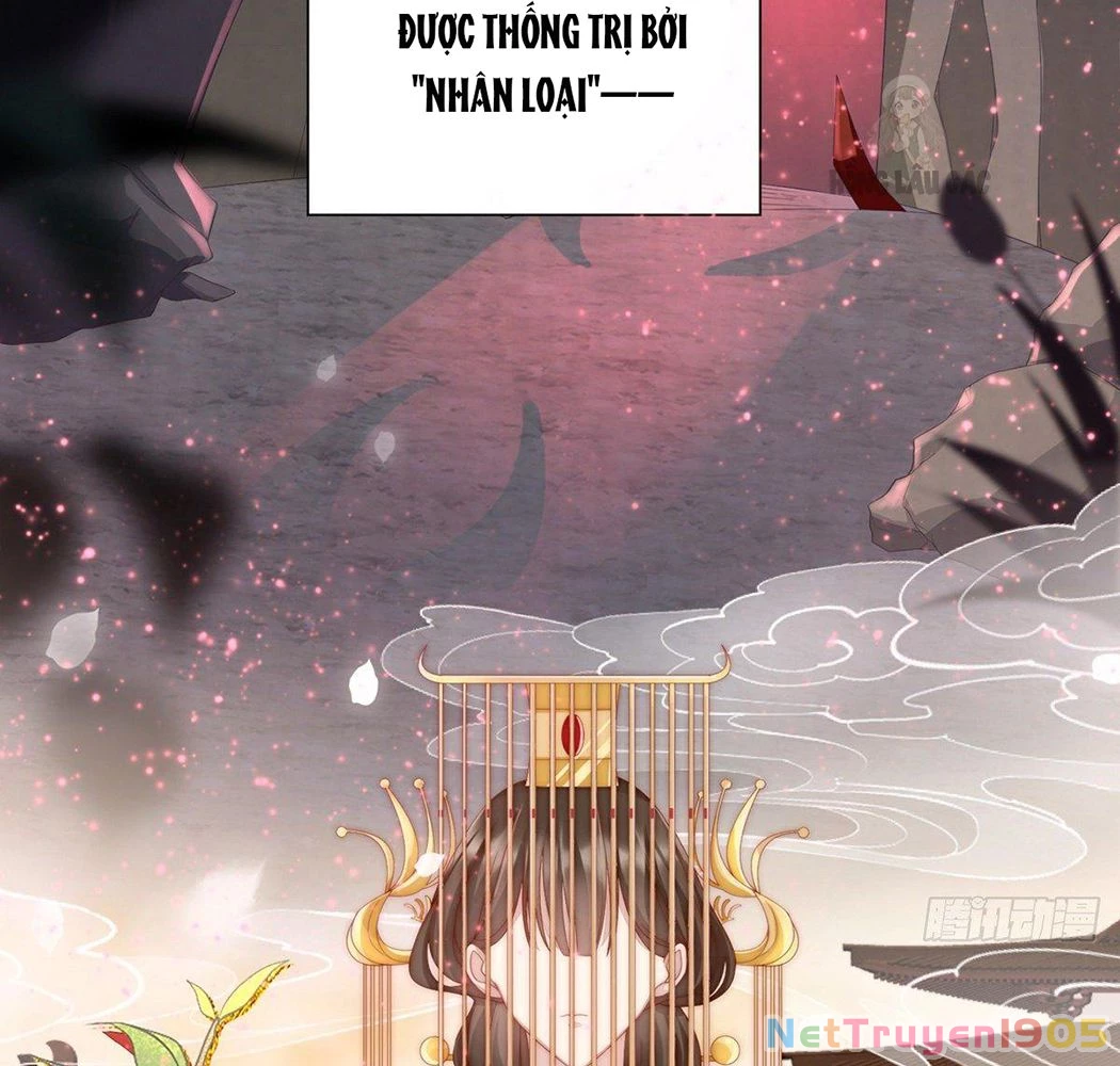 Thê Chủ, Thỉnh Hưởng Dụng Chapter 1 - 10