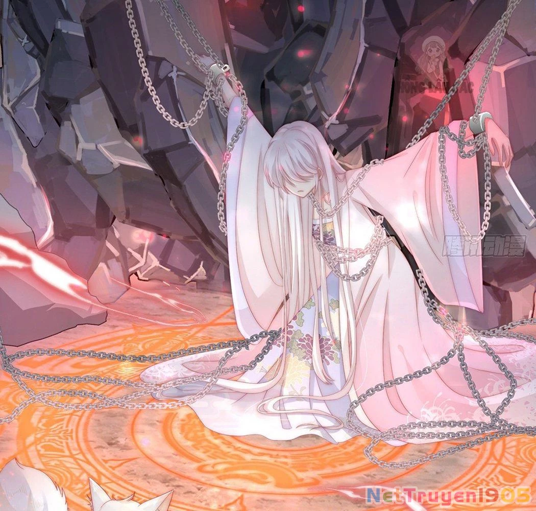 Thê Chủ, Thỉnh Hưởng Dụng Chapter 1 - 14