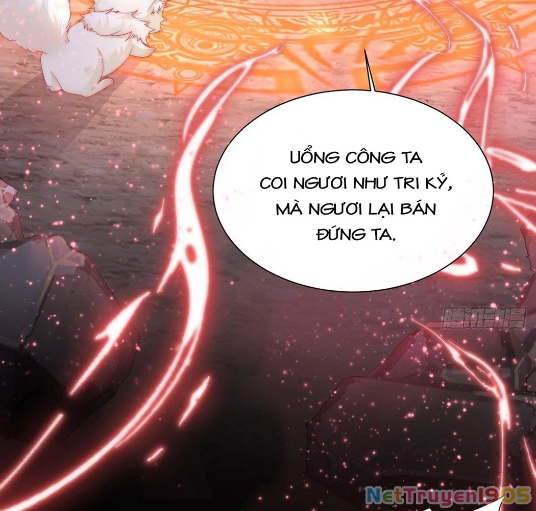 Thê Chủ, Thỉnh Hưởng Dụng Chapter 1 - 15