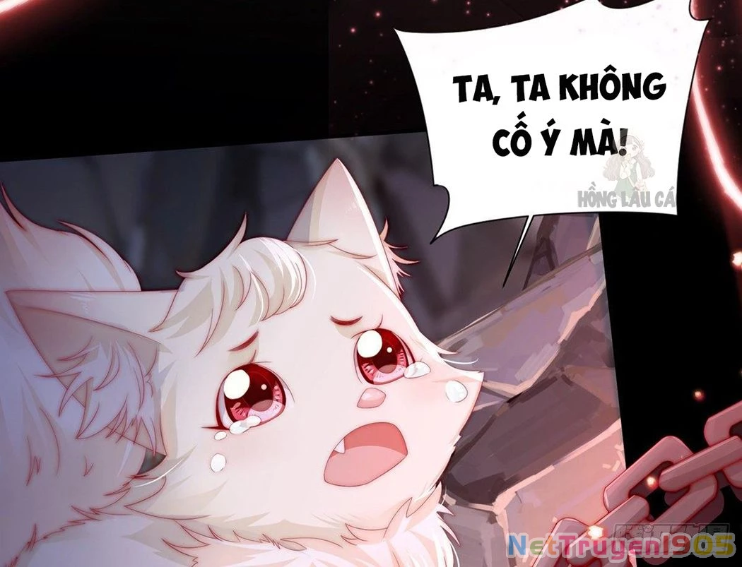 Thê Chủ, Thỉnh Hưởng Dụng Chapter 1 - 16