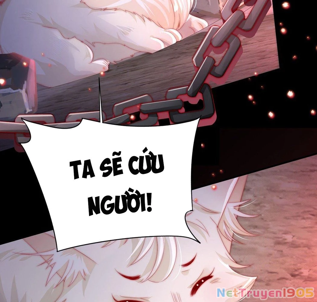 Thê Chủ, Thỉnh Hưởng Dụng Chapter 1 - 17