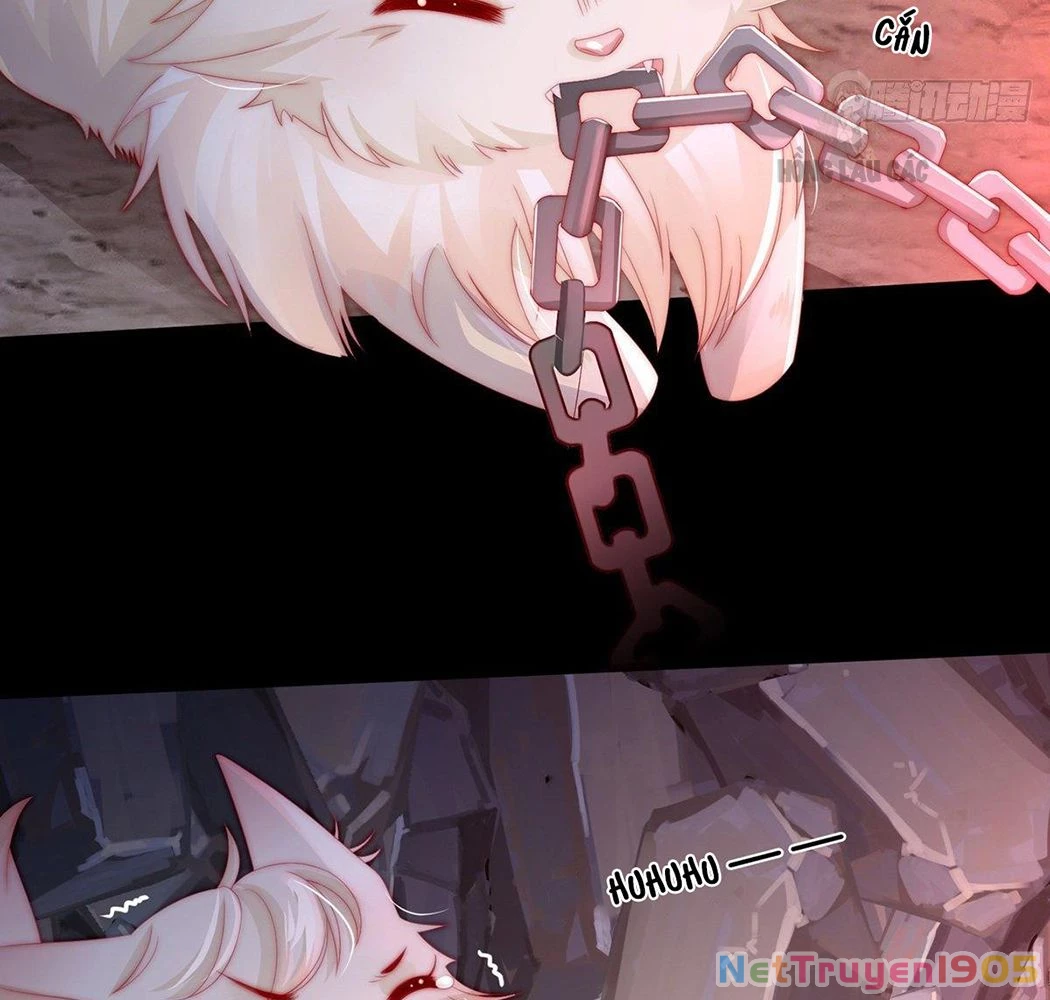 Thê Chủ, Thỉnh Hưởng Dụng Chapter 1 - 18