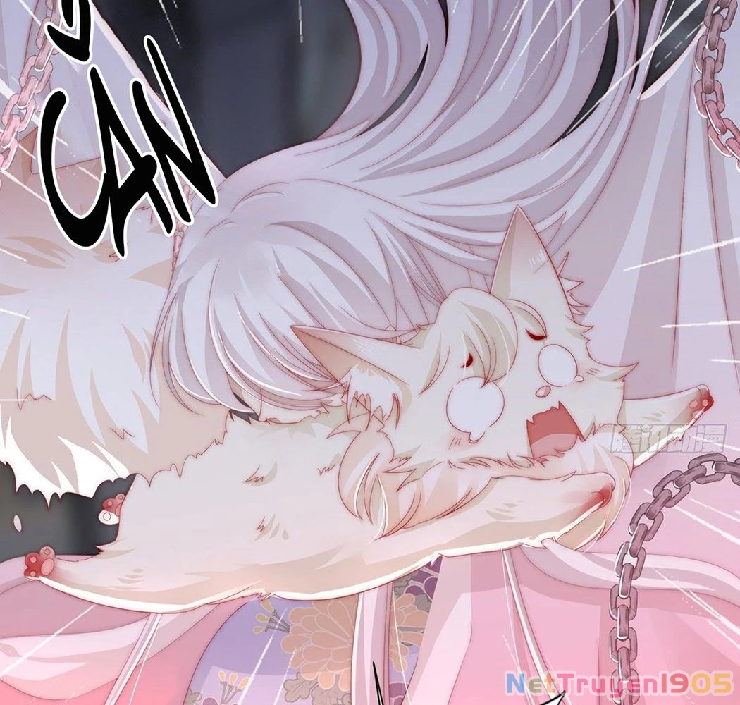 Thê Chủ, Thỉnh Hưởng Dụng Chapter 1 - 27