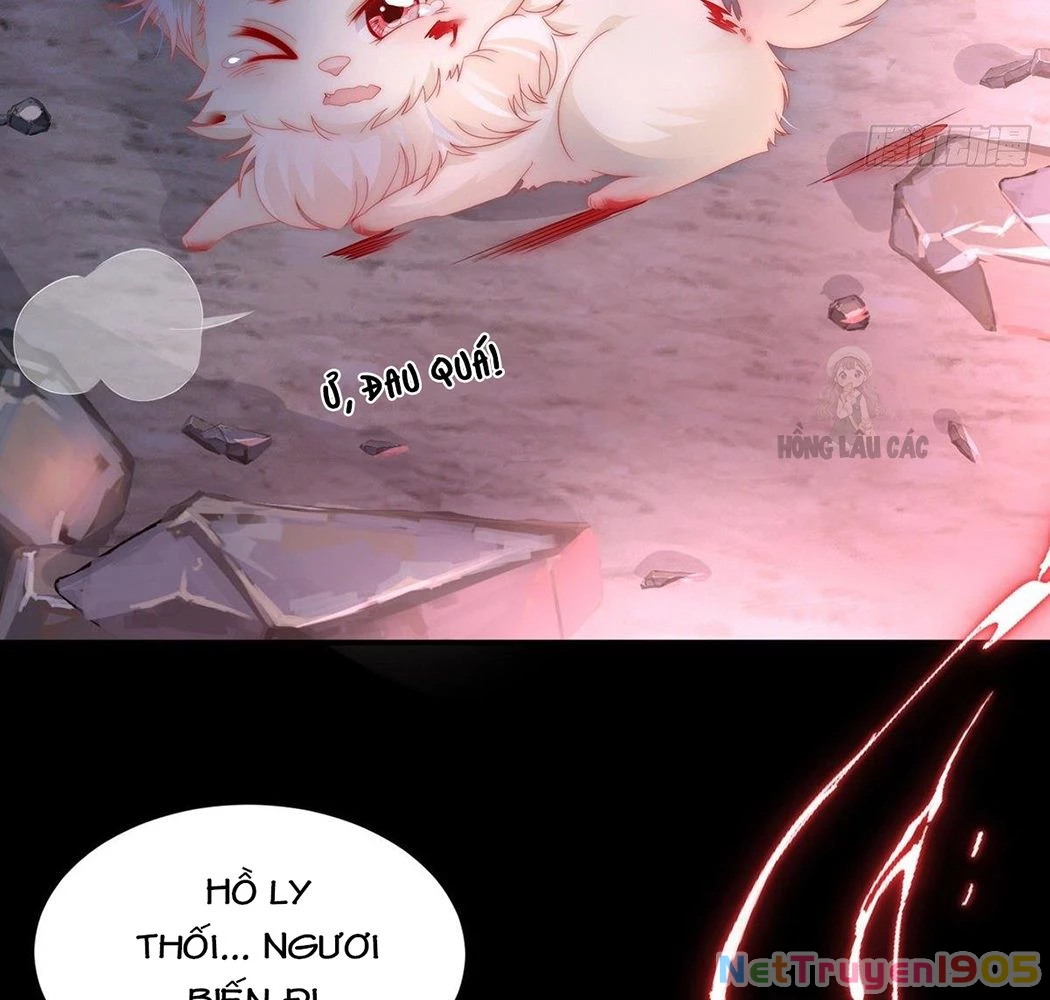 Thê Chủ, Thỉnh Hưởng Dụng Chapter 1 - 30