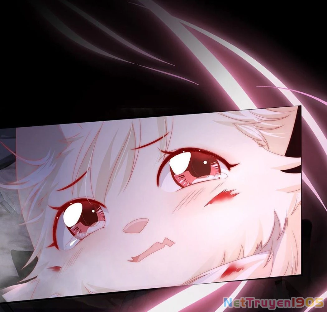 Thê Chủ, Thỉnh Hưởng Dụng Chapter 1 - 44