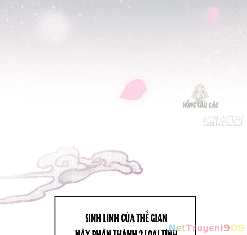 Thê Chủ, Thỉnh Hưởng Dụng Chapter 1 - 50