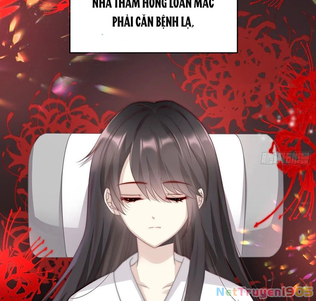 Thê Chủ, Thỉnh Hưởng Dụng Chapter 1 - 81