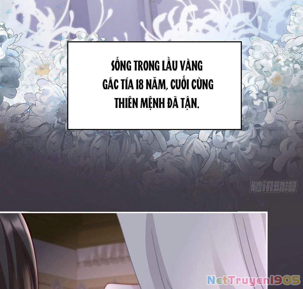 Thê Chủ, Thỉnh Hưởng Dụng Chapter 1 - 84