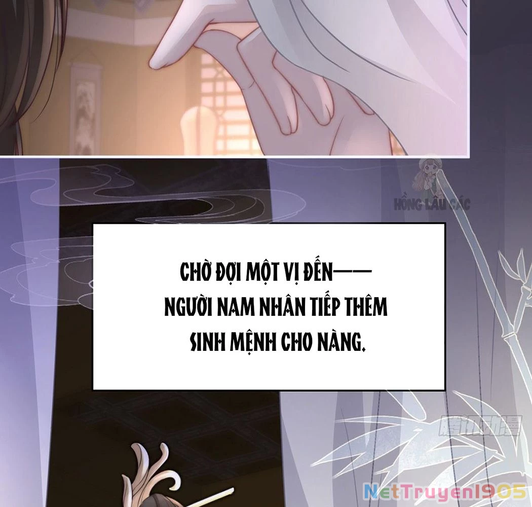 Thê Chủ, Thỉnh Hưởng Dụng Chapter 1 - 85