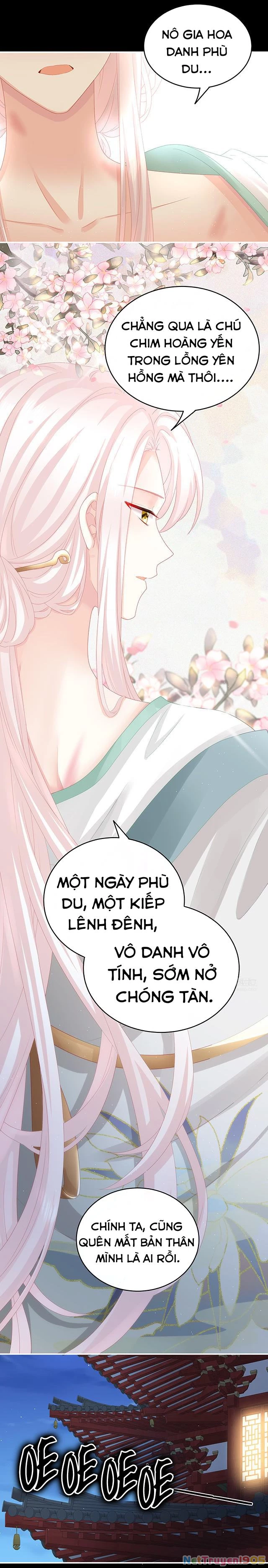 Kiều Phu Có Hỉ Chapter 31 - 14