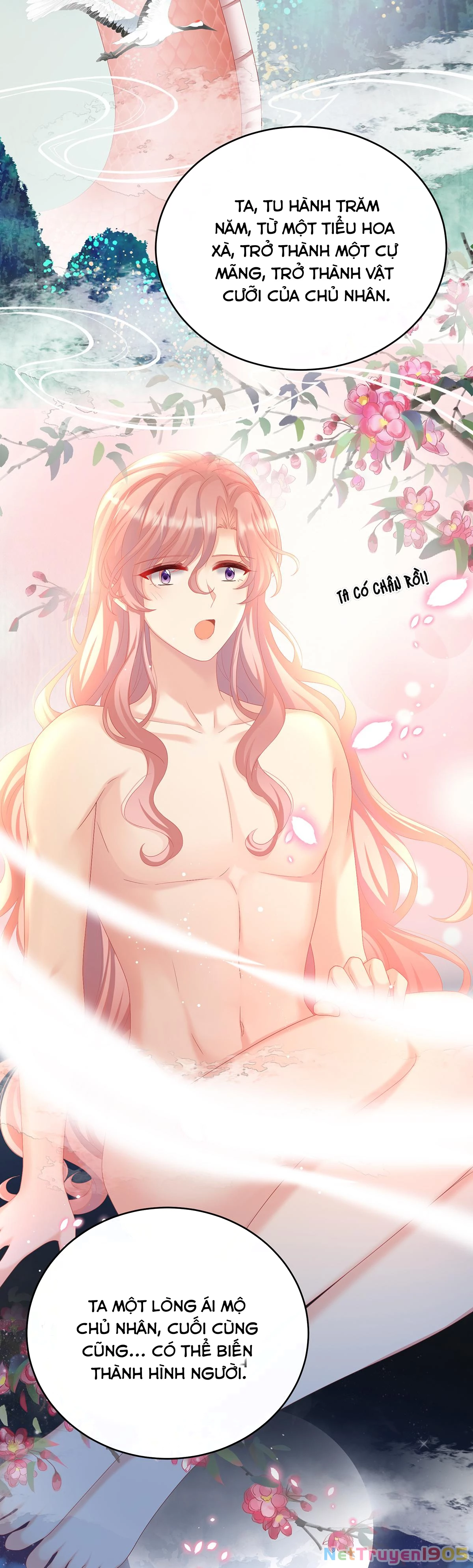 Kiều Phu Có Hỉ Chapter 77 - 7