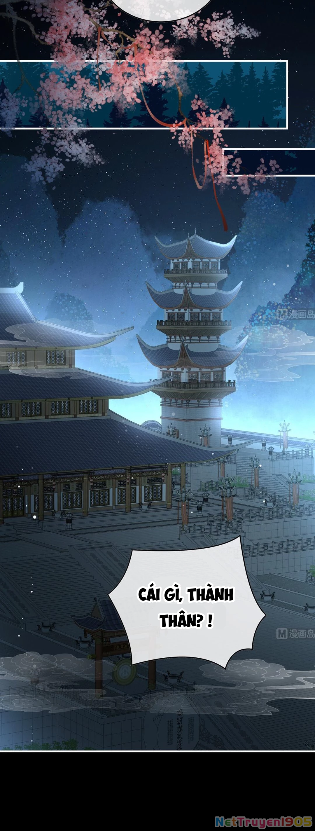 Kiều Phu Có Hỉ Chapter 82 - 11