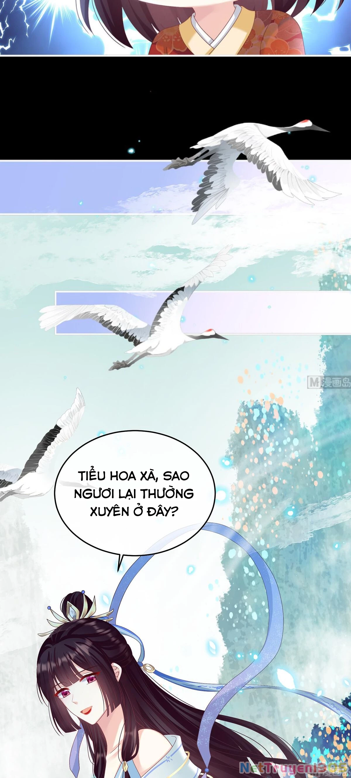 Kiều Phu Có Hỉ Chapter 85 - 3