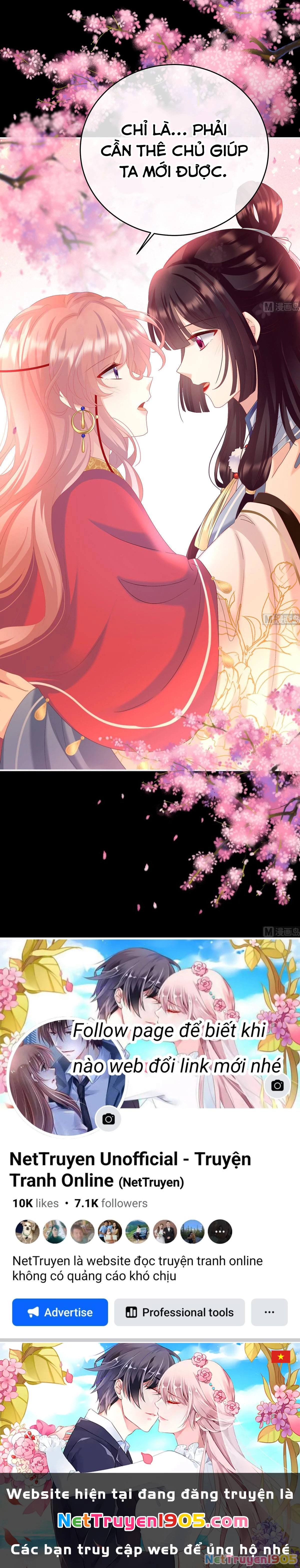 Kiều Phu Có Hỉ Chapter 90 - 24