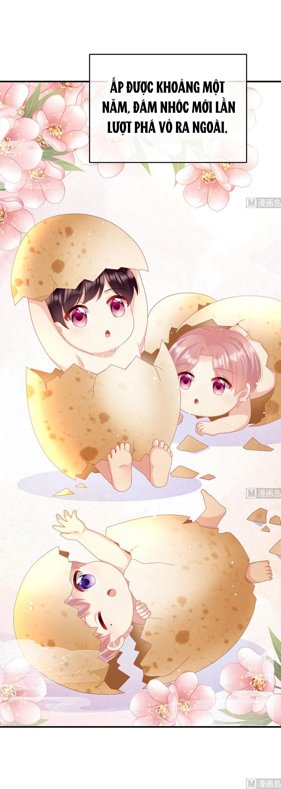 Kiều Phu Có Hỉ Chapter 95 - 14