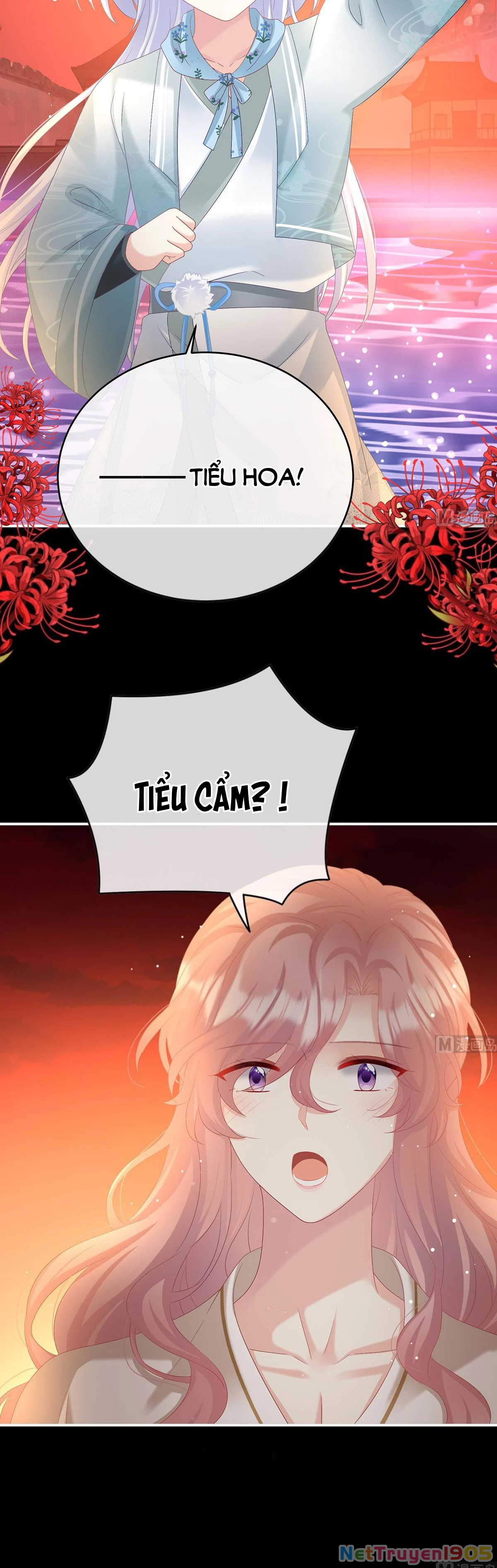 Kiều Phu Có Hỉ Chapter 96 - 5