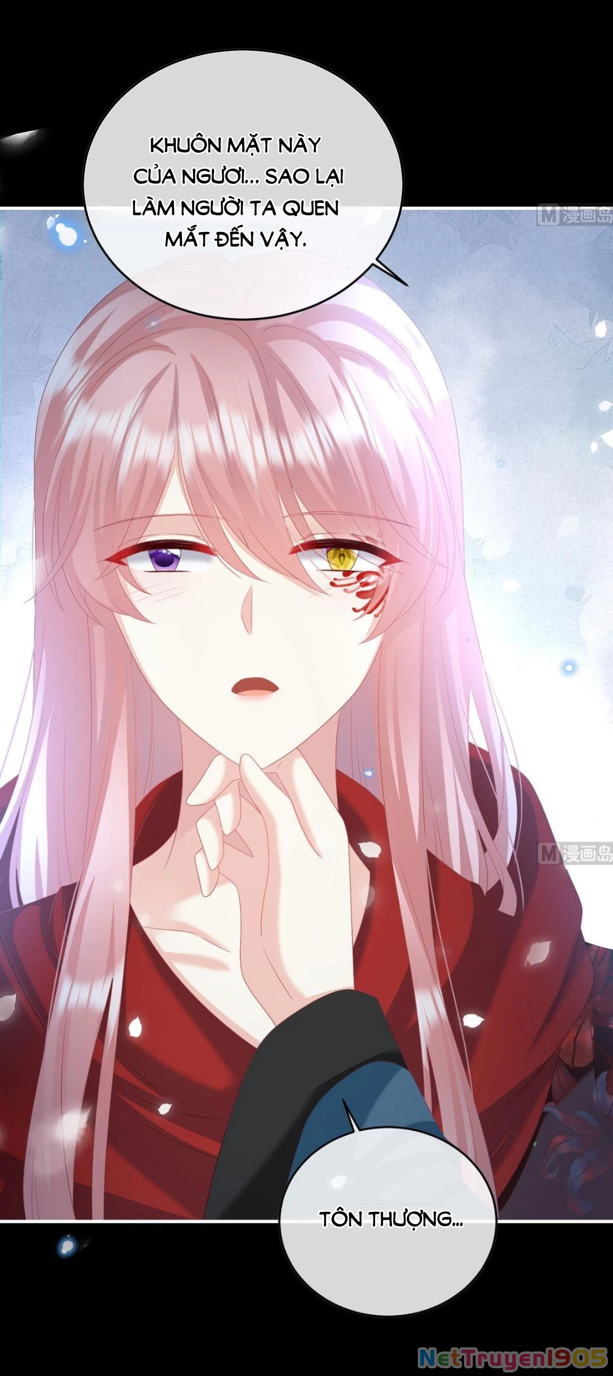 Kiều Phu Có Hỉ Chapter 97 - 13