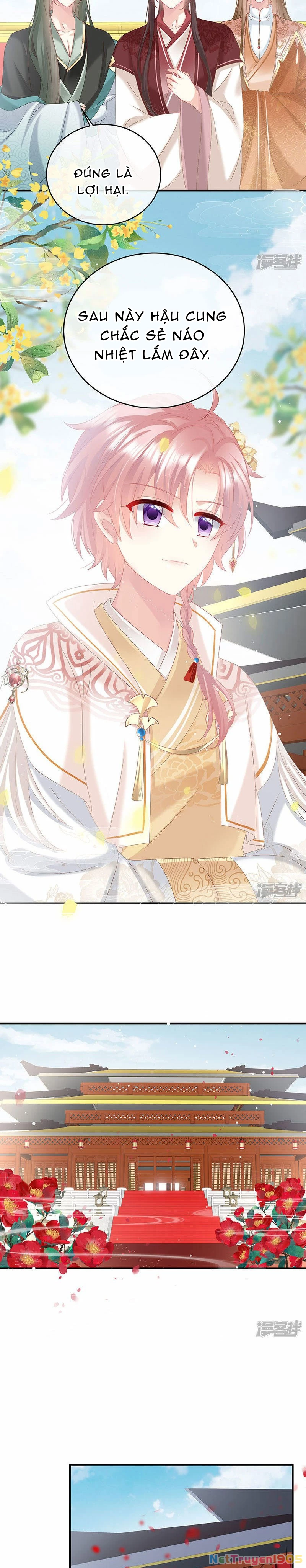 Kiều Phu Có Hỉ Chapter 104 - 6