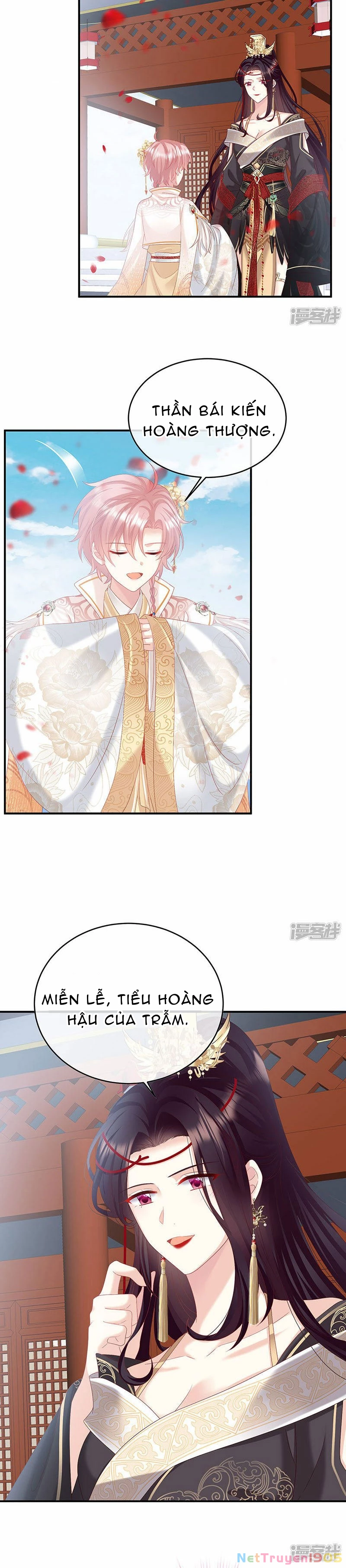 Kiều Phu Có Hỉ Chapter 104 - 7